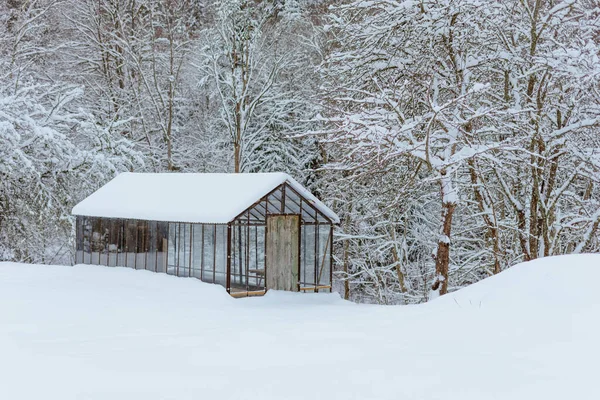 Prachtige Winterse Omgeving Met Een Besneeuwde Tuinhuisje — Stockfoto