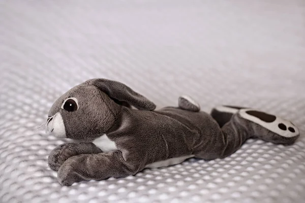 Selective Focus Shot Cute Gray Stuffed Bunny Toy Blanket — Stock Photo, Image