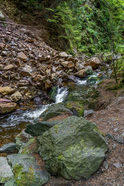 Vertical Shot Small River Streaming Mossy Rocks — Stock Photo, Image