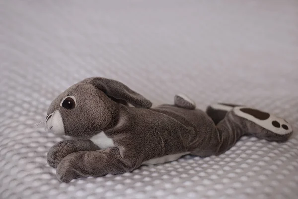 一张毛毯上可爱的灰色填充兔子玩具的选择性焦点照片 — 图库照片