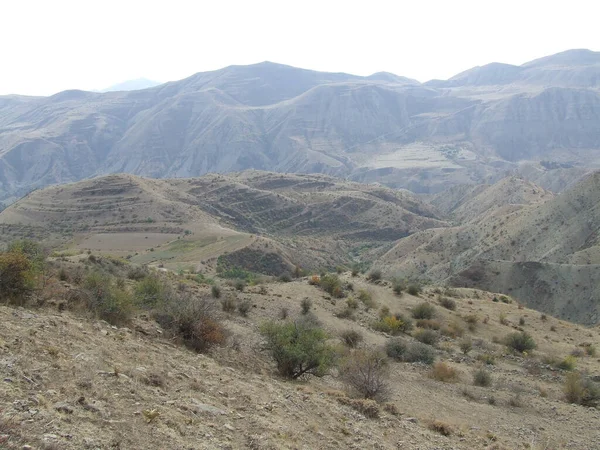 Τοπίο Δέντρων Αποξηραμένες Οροσειρές Στην Αρμενία — Φωτογραφία Αρχείου