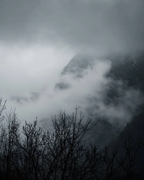 Een Verticaal Schot Van Heuvels Kale Bomen Bedekt Met Mist — Stockfoto