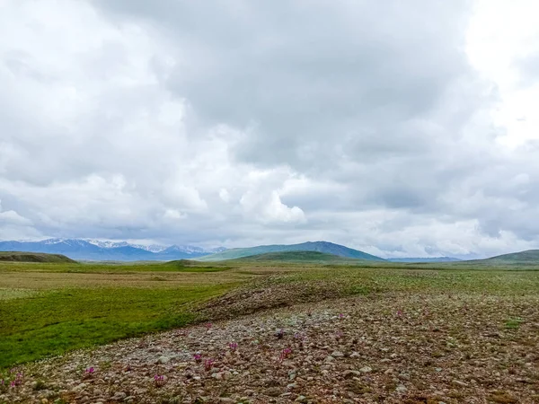 Die Dichten Wolken Über Einem Feld Und Die Berge Hintergrund — Stockfoto