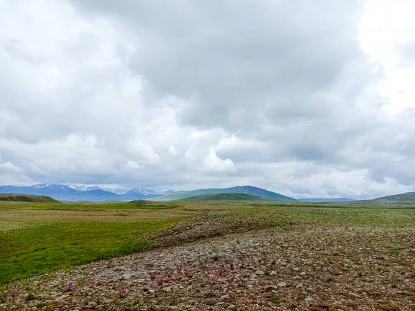 Dense Clouds Field Mountains Background — Stock Photo, Image