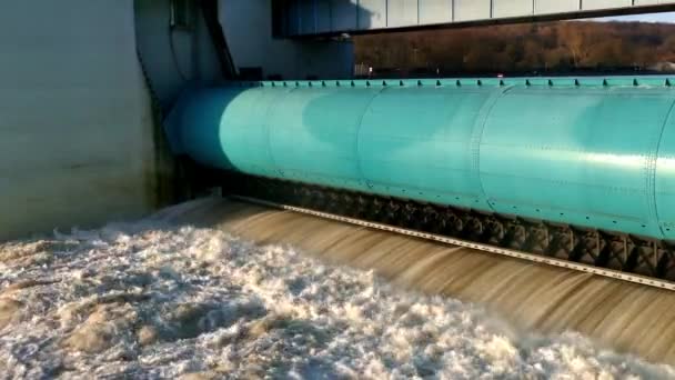 Roaring Water Sluice Seagulls Crossing Flood Flowing River Baldeney Sea — Stockvideo