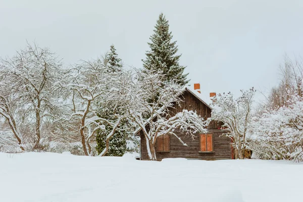 Prachtig Winterlandschap Met Een Houten Huisje Bij Besneeuwde Bomen — Stockfoto