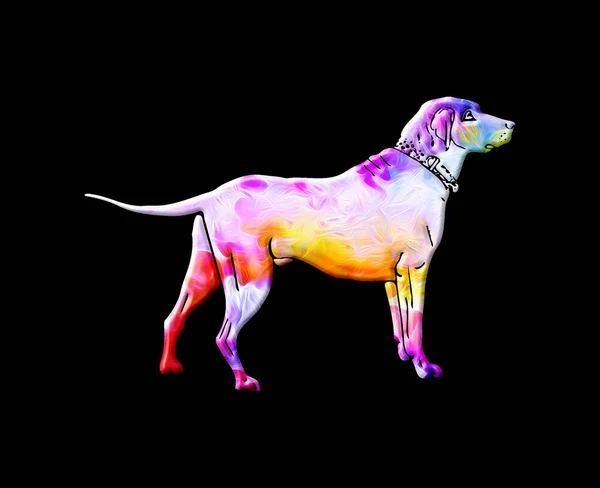 Ilustracja Psa Obrożą Kolorowym Tle Akwarela — Zdjęcie stockowe
