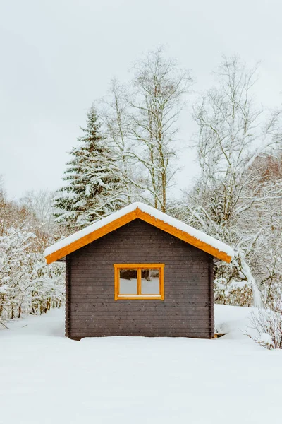 Vertikal Bild Liten Stuga Skog Vintern — Stockfoto