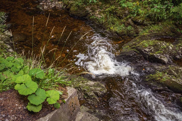 Yosunlu Kayaların Arasından Akan Küçük Bir Nehir — Stok fotoğraf