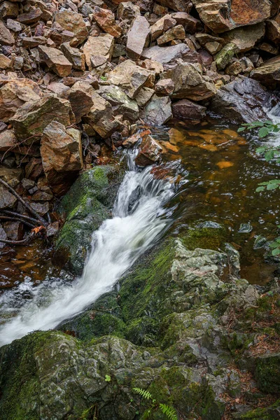 Vertical Shot Small River Streaming Mossy Rocks — Stock Photo, Image