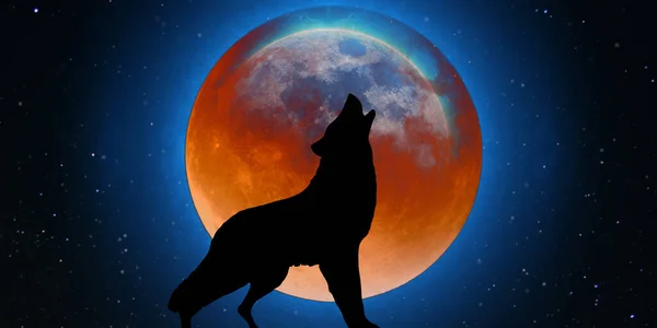 Una Silueta Ilustración Lobo Aullando Contra Luna Reluciente Universo Brillante — Foto de Stock