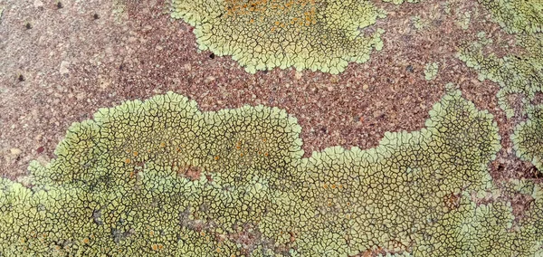 Una Textura Mármol Granate Piedra Verde —  Fotos de Stock