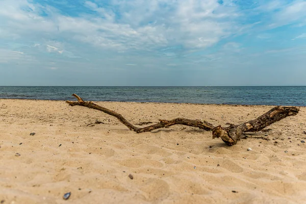 Μια Όμορφη Ακτή Απαλή Άμμο Και Ένα Ξηρό Κλαδί Δέντρου — Φωτογραφία Αρχείου