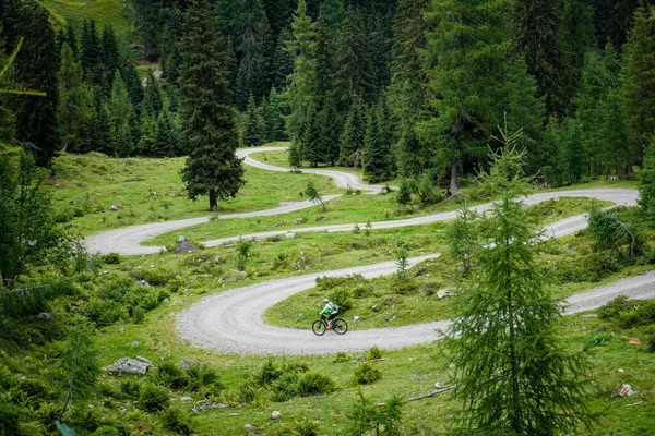 Uma Vista Árvores Caminho Sinuoso Encosta Uma Montanha — Fotografia de Stock