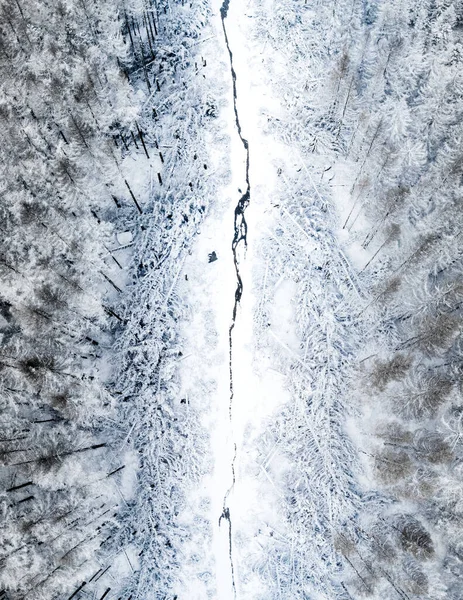 Widok Powietrza Zimowego Krajobrazu Ścieżką Lesie Wieloma Drzewami Pokrytymi Śniegiem — Zdjęcie stockowe