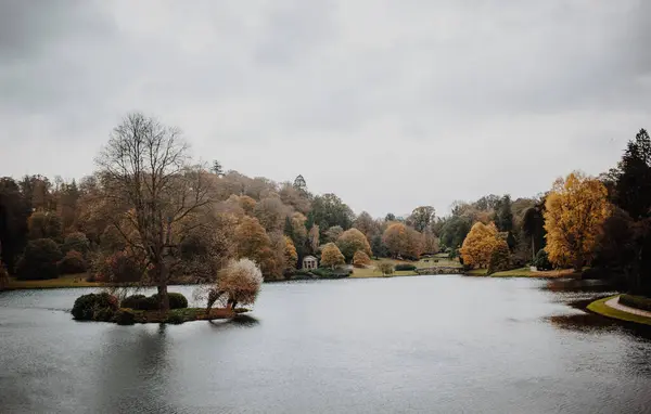 Une Majestueuse Scène Nature Petit Lac Réfléchissant Entouré Une Végétation — Photo