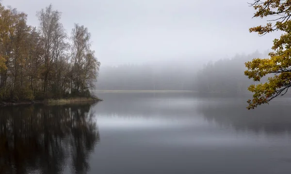 나무들에 호수의 숨막힐 광경이 안개낀 반사되어 보인다 — 스톡 사진