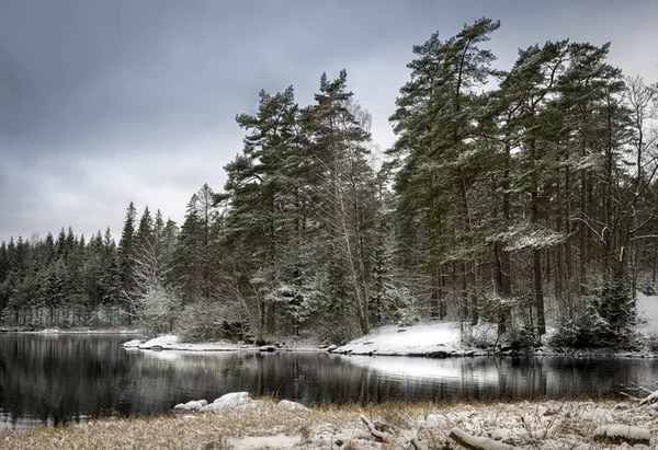 Mesmerizing View Frozen Lake Surrounded Snow Covered Trees Winter Day — Stock Photo, Image