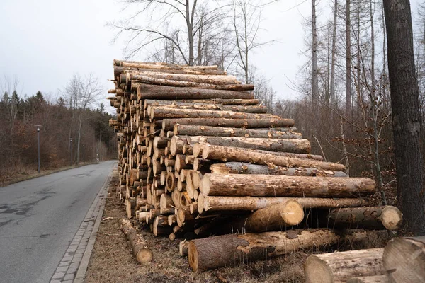 冬用に切り分けられた薪の山 — ストック写真