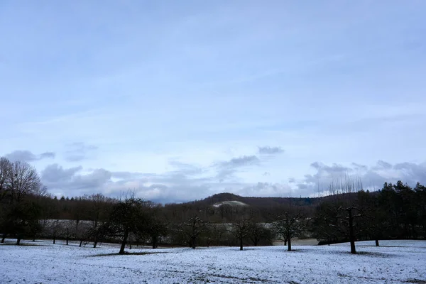 Paysage Hivernal Arbres Nus Dans Champ Sous Ciel Nuageux — Photo