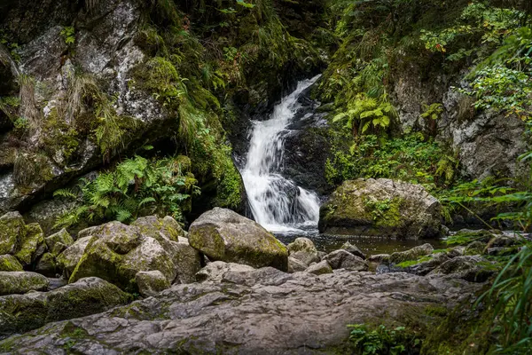 Malá Řeka Protékající Mechem Porostlými Skalami — Stock fotografie