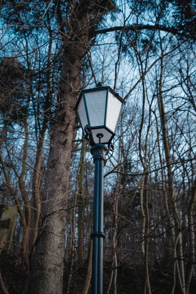 Vertical Low Angle Shot Street Lamp Park Leafless Trees — Stock Photo, Image