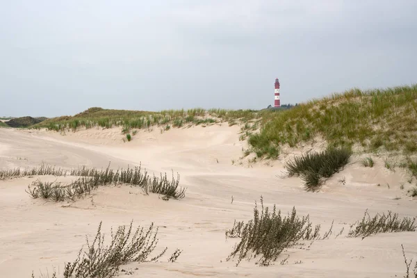 Gros Plan Phare Île Amrum Allemagne Coucher Soleil — Photo