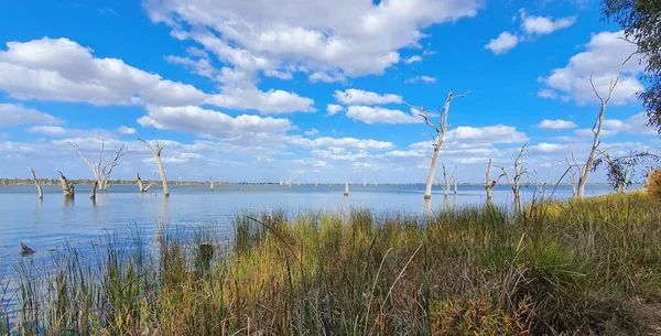 Eine Panoramaaufnahme Des Mulwala Sees Und Der Bewölkten Nachmittag — Stockfoto