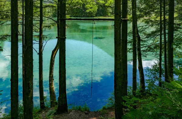 Lago Verde Claro Hermoso Bosque — Foto de Stock