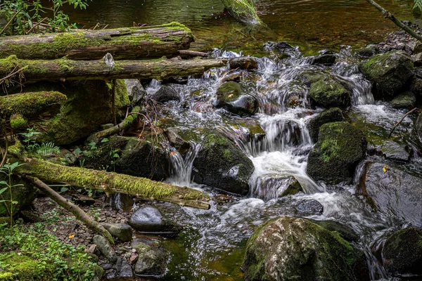 Ein Kleiner Fluss Fließt Durch Die Bemoosten Felsen — Stockfoto