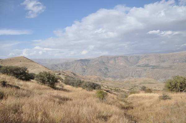 Τοπίο Δέντρων Αποξηραμένες Οροσειρές Στην Αρμενία — Φωτογραφία Αρχείου