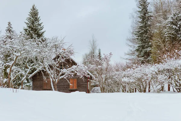 Vacker Vinternatur Med Trästuga Vid Snöiga Träden — Stockfoto