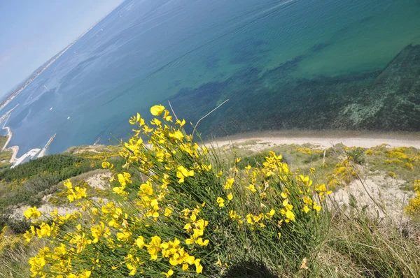 Aerial View Sea Monte San Bartolo Italy — Stock Photo, Image