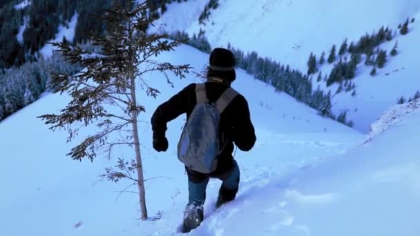 Vinterlandskap Med Fjellklatrer – stockvideo