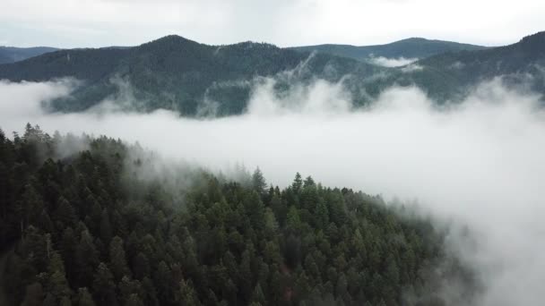 多雾多云的山景 — 图库视频影像