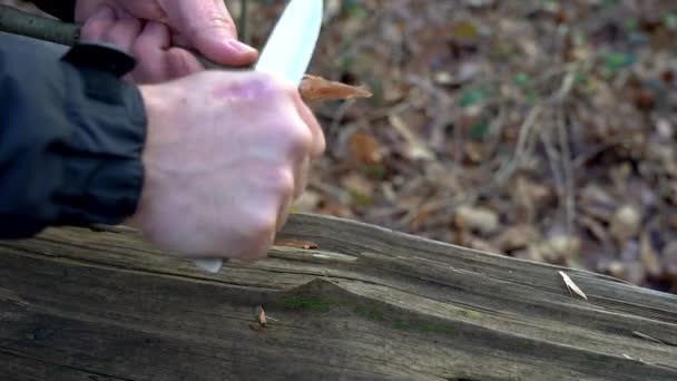 Outdoorsman Sharpening Wooden Stake Using Knife — Αρχείο Βίντεο