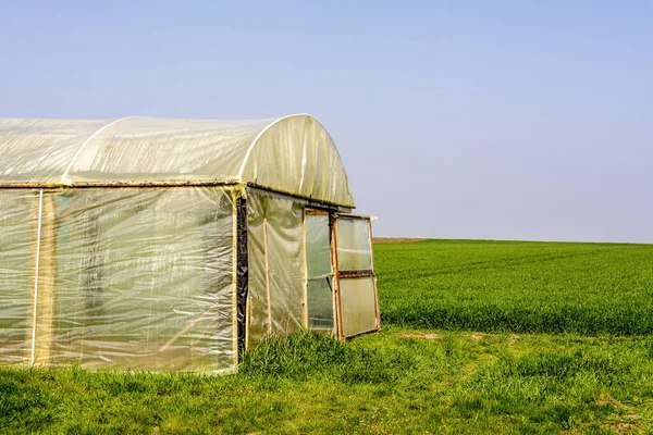 在阳光灿烂的日子里在田野里拍摄的一个农业温室的特写 — 图库照片