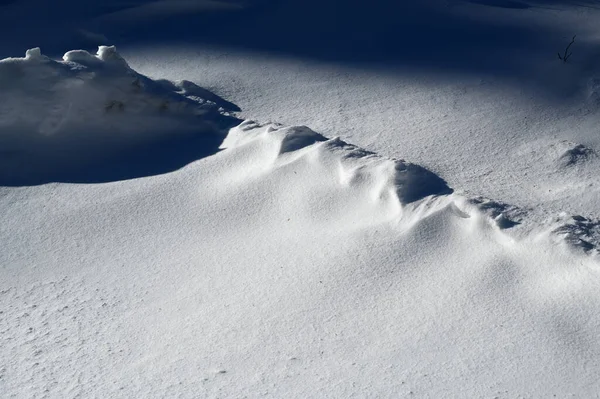Piękne Ujęcie Śniegu Pokrywające Ziemię Świetle Słonecznym — Zdjęcie stockowe