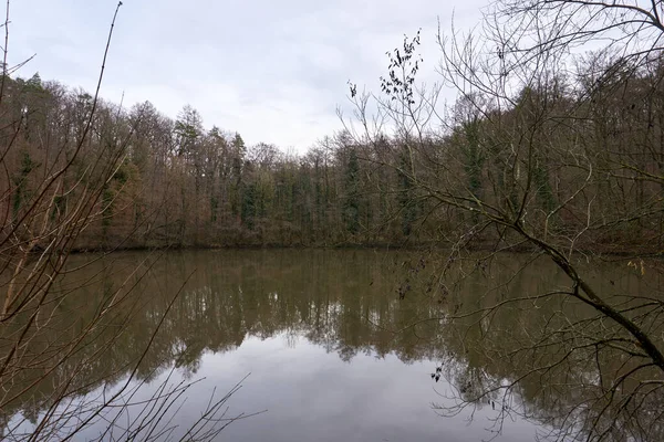 Una Hermosa Vista Lago Tranquilo Con Reflejo Árboles Agua —  Fotos de Stock