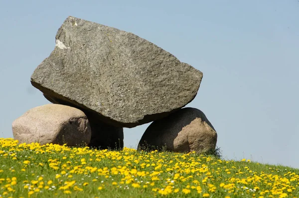 Closeup Huge Stacked Rocks Field Blooming Yellow Flowers — Stock Photo, Image
