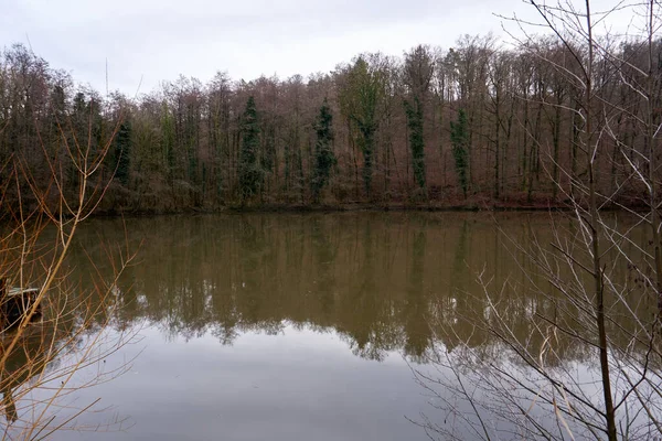 Una Hermosa Vista Lago Tranquilo Con Reflejo Árboles Agua —  Fotos de Stock