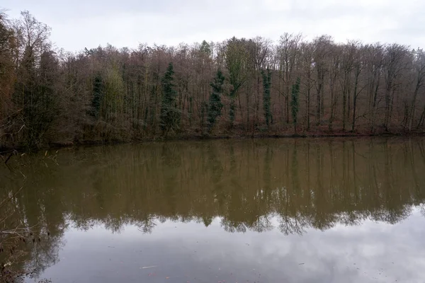 Una Hermosa Vista Lago Tranquilo Con Reflejo Árboles Agua —  Fotos de Stock