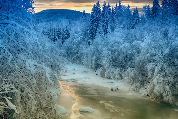 Een Bevroren Rivier Een Winterbos — Stockfoto