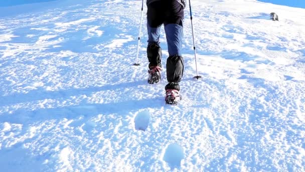 一名徒步旅行者在高清蓝天下爬上雪山的慢动作 — 图库视频影像