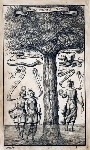 Μια Απεικόνιση Ενός Δέντρου Της Ζωής Από Ένα Βιβλίο Αλχημείας — Φωτογραφία Αρχείου