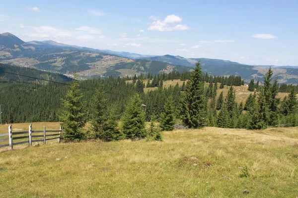 Paysage Collines Couvertes Verdure Sous Lumière Soleil Ciel Bleu Campagne — Photo