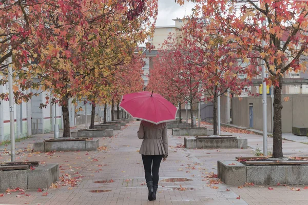 Una Mujer Con Paraguas Por Detrás Caminando Aire Libre Otoño — Foto de Stock