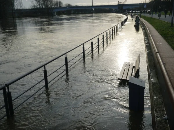 2021 04フランクフルト ホーチストの河川沿いの洪水 — ストック写真