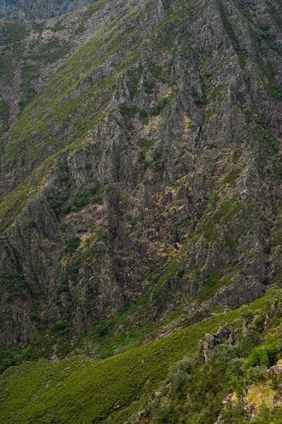 Eine Vertikale Aufnahme Des Zerklüfteten Berges Der Serra Freita Portugal — Stockfoto