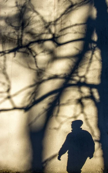 Ένα Κάθετο Πλάνο Μιας Σιλουέτας Ενός Ανθρώπου Και Σκιές Δέντρων — Φωτογραφία Αρχείου